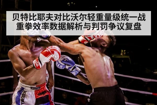 boxers punching match